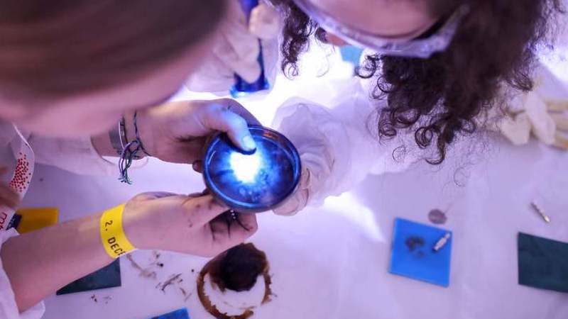 Festival nauke od 17. do 20 decembra online 1