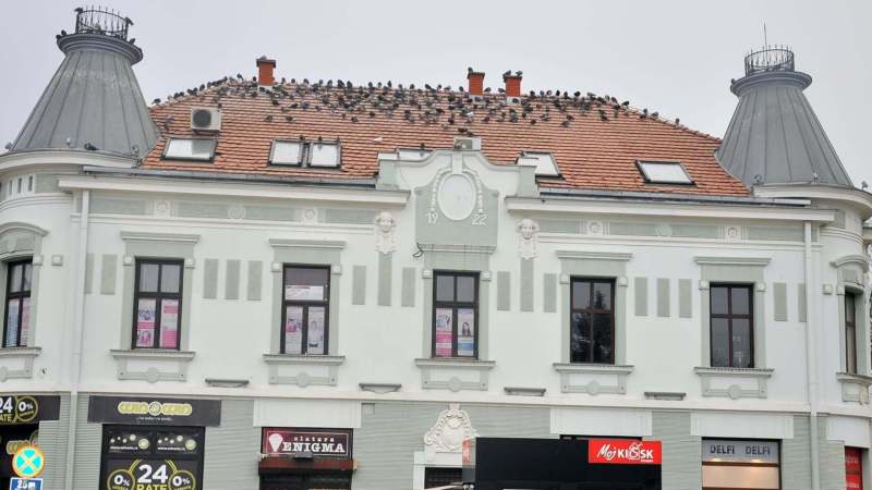 Požarevac: Još 94 slučaja korona virusa 1