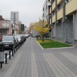 Četiri odsto građana Kraljeva zaraženo virusom korona 6