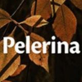 Izbrušeno, sažeto i jasno 8