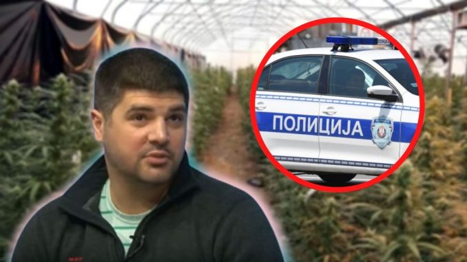 Coluvia claims police produced cannabis in Jovanjica 1
