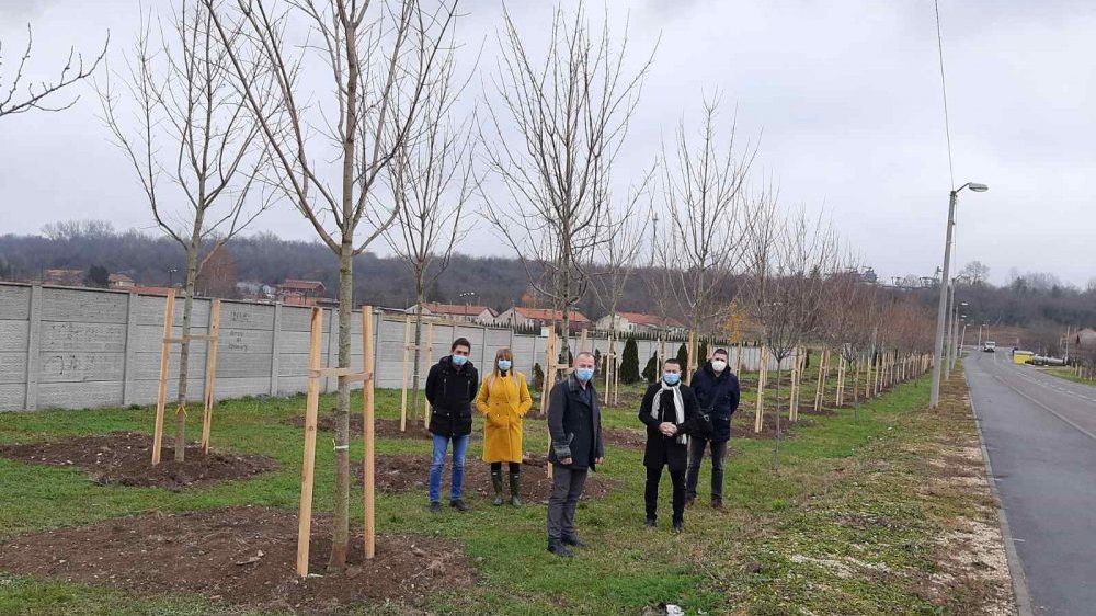Nastavak zaštite životne sredine formiranja drvoreda u Kostolcu 1