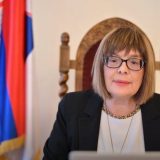 Gojković: Osmisliti regionalni pristup za smanjenje posledica pandemije u kulturi 7