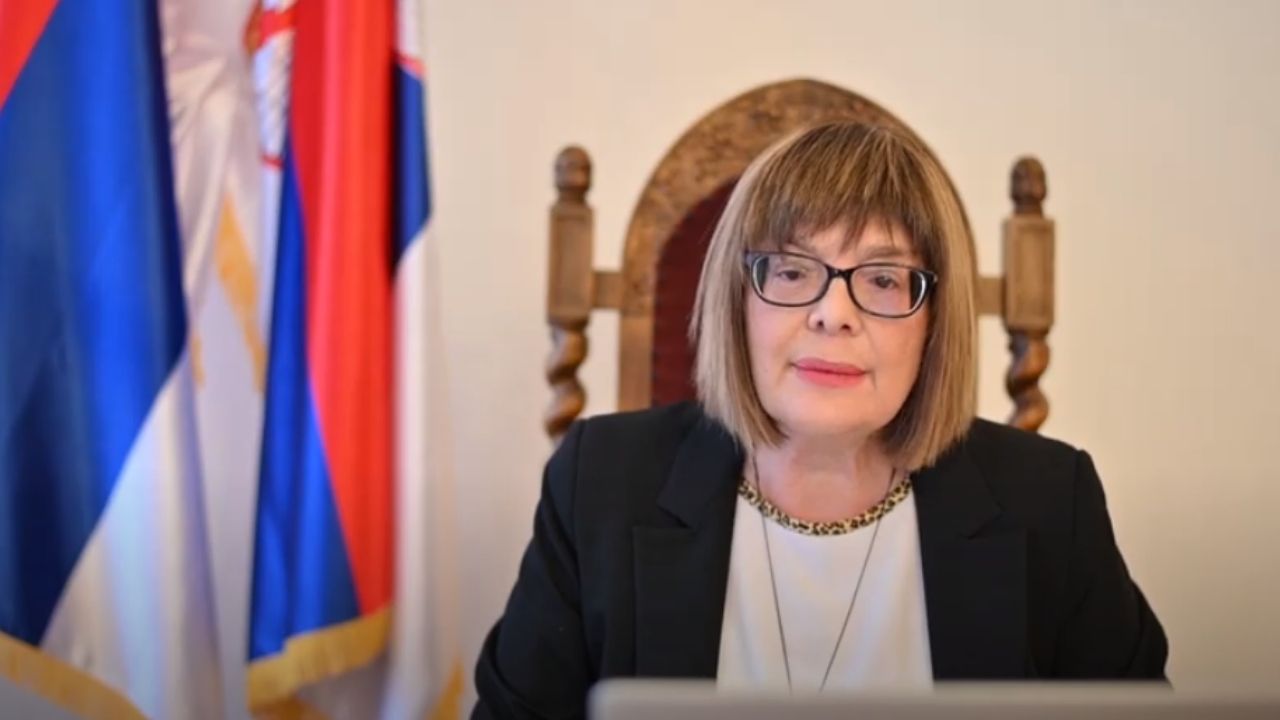 Gojković: Osmisliti regionalni pristup za smanjenje posledica pandemije u kulturi 1