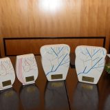 Priznanja najuspešnijim kompanijama i pojedincima u užičkom regionu 6