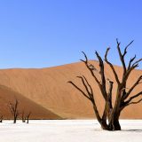 Zvaničnik po imenu Adolf Hitler izabran za okružnog odbornika u Namibiji 11