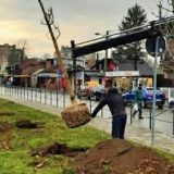 U okruženju ugljenokopa i termoelektrana nastavljeno ozelenjavanje Kostolca 1