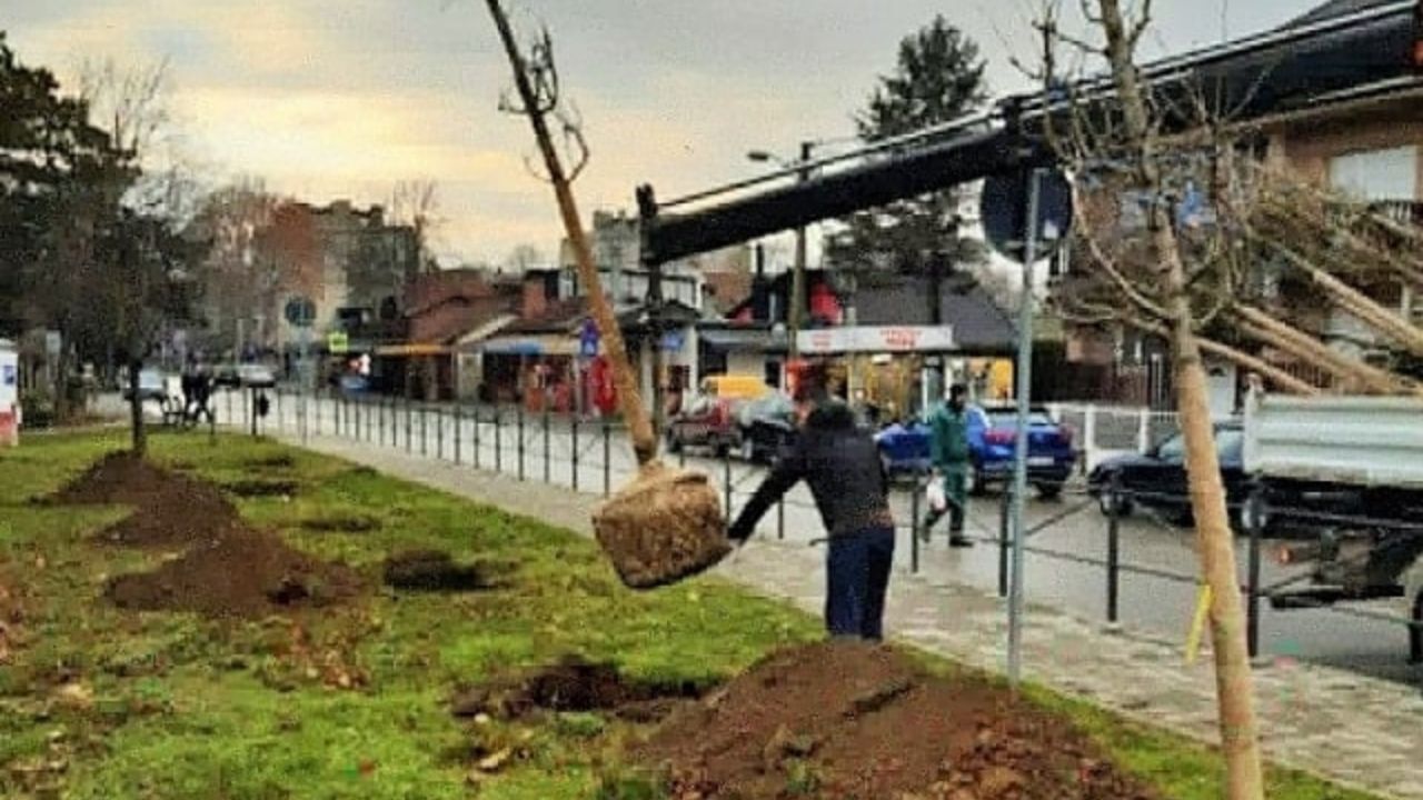 U okruženju ugljenokopa i termoelektrana nastavljeno ozelenjavanje Kostolca 1