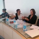 Multietnička feministička mreža: Žene manjina na selu trostruko diskriminisane 9