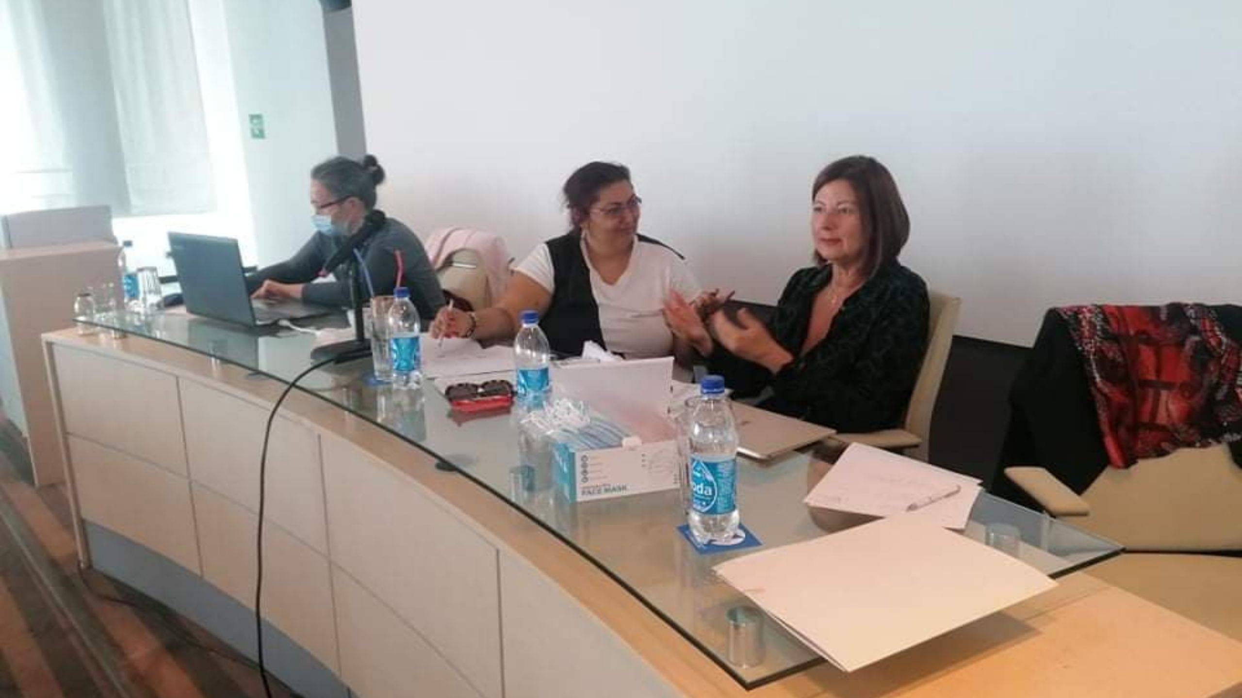 Multietnička feministička mreža: Žene manjina na selu trostruko diskriminisane 1