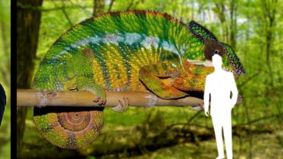 Novi muzej u Beogradu pokazaće nam svet iz ugla životinja 1