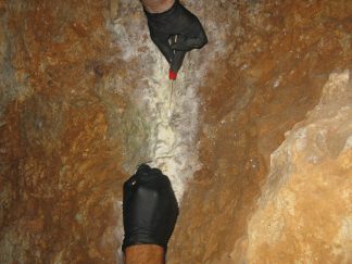 Tim naučnika razvija biocid za zaštitu kulturne baštine 2