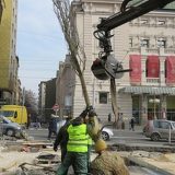 Zelenilo: Zamena stabala na Trgu Republike u Beogradu 12