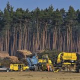 Nemački sud potvrdio da proizvođač automobila Tesla mora da obustavi seču drveća 6