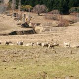 Ekosistemu pod našim stopalima treba zaštita 10