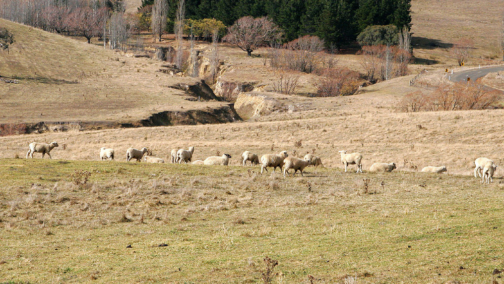 Ekosistemu pod našim stopalima treba zaštita 1