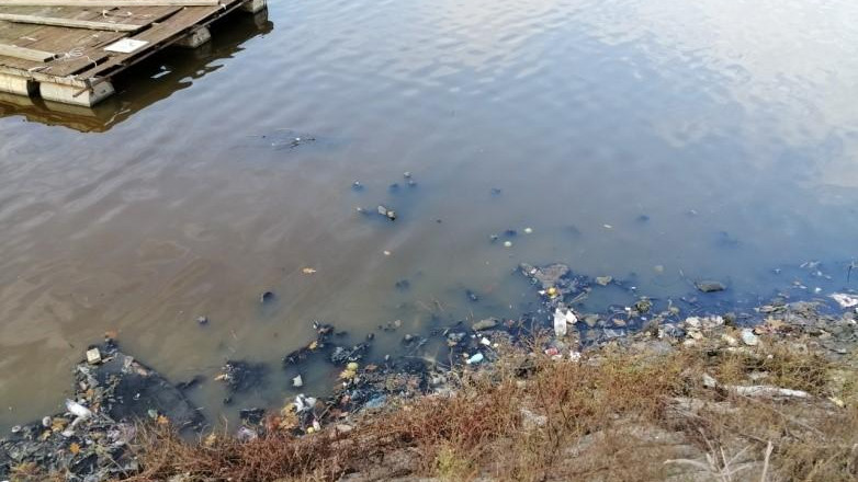 Narodna stranka: Preti nova katastrofa, vlast ne ume da reši smrad u Čukaričkom rukavcu 1