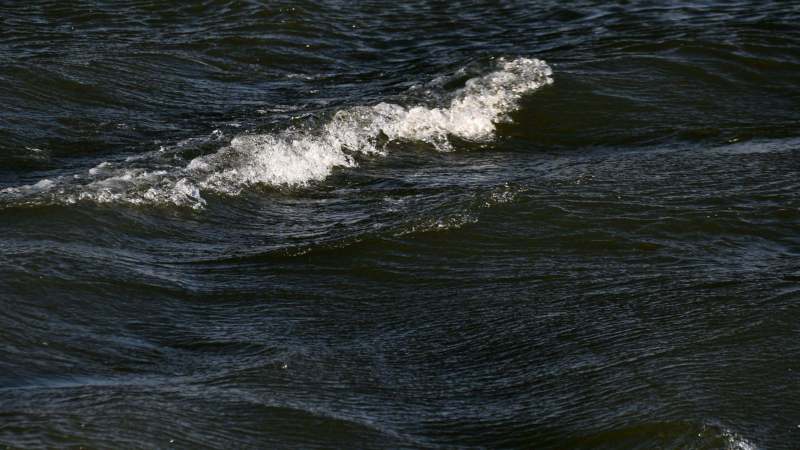 Autonomija: Vojvođanska reka Krivaja ne teče zbog zagađenja 1