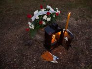 Gradonačelnica Niša ne priča sa onima ispod cenzusa 4