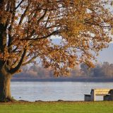 Jesen u Srbiji najtoplija u poslednje 72 godine, u Beogradu u poslednjih 136 5