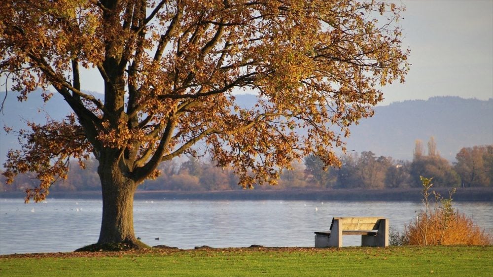 Danas pretežno sunčano sa temperaturom do 15 stepeni 1