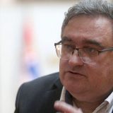 Vukadinović: Rezultati referenduma o promeni ustava su udarac za vlast 8