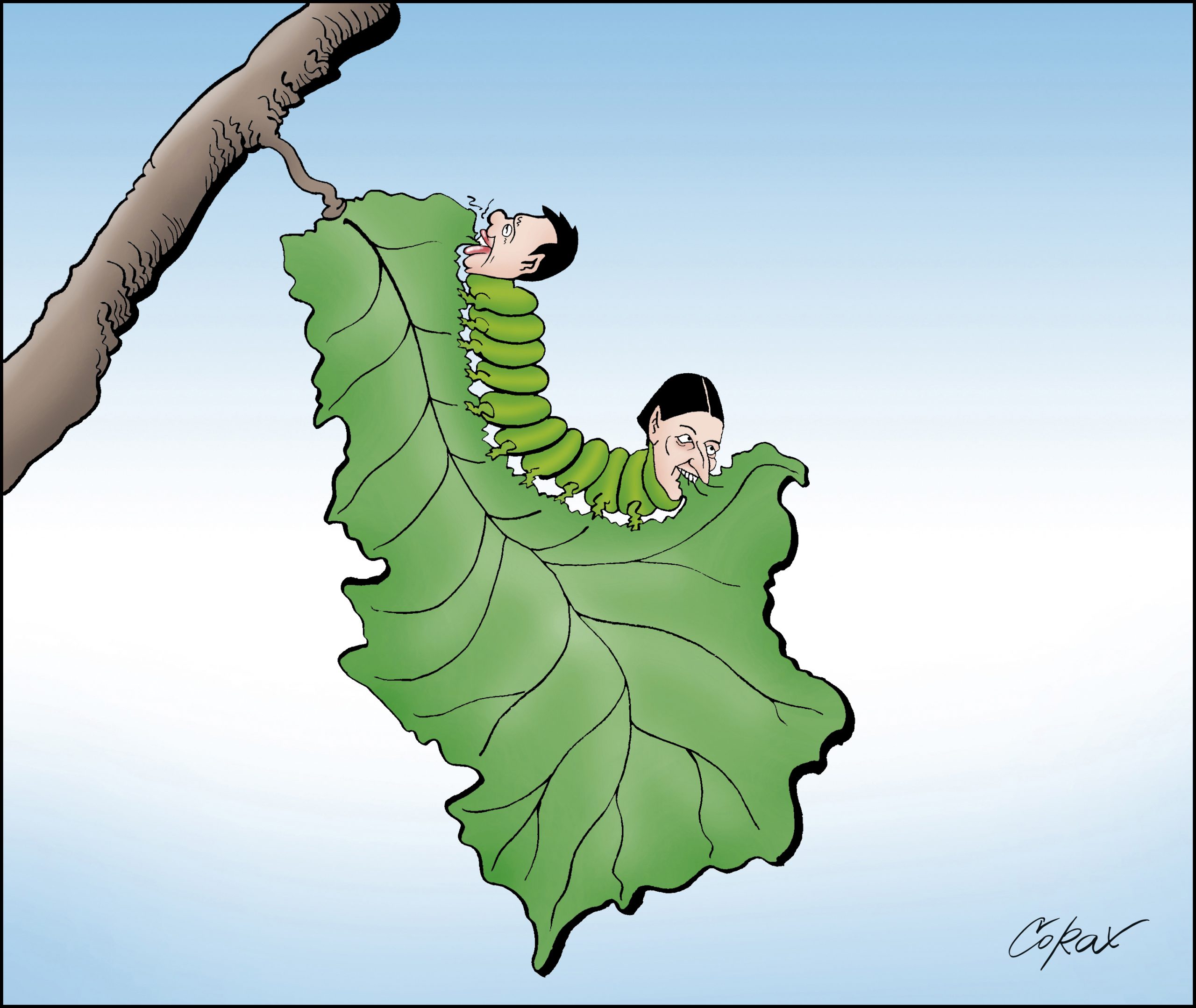 Corax 4