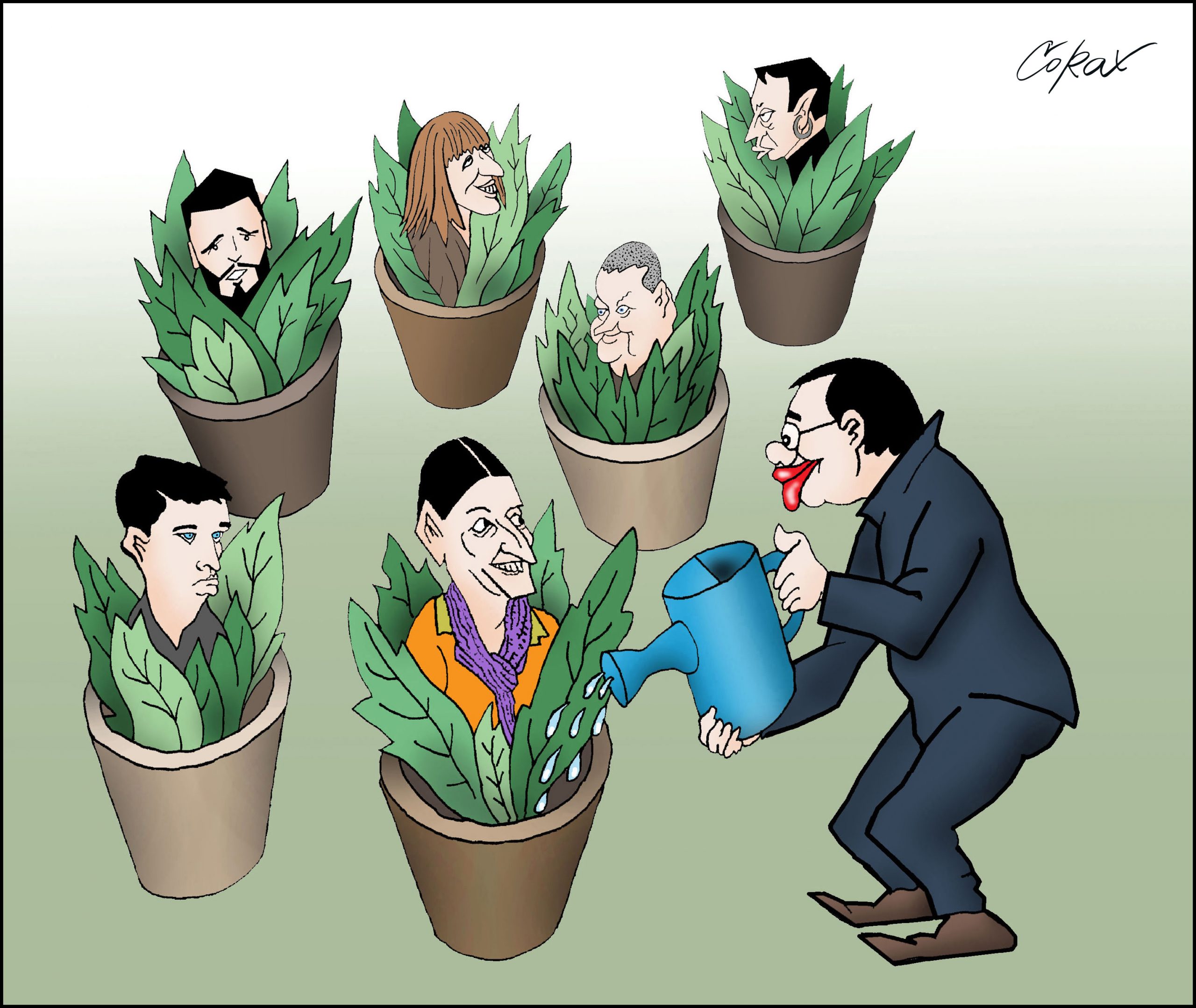 Corax 6