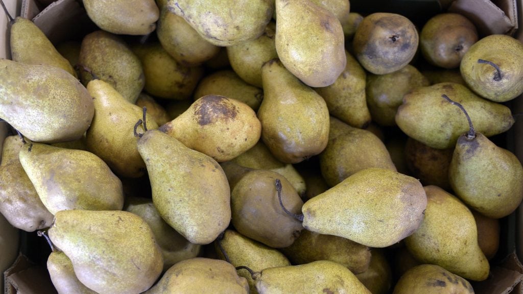 Rusija zabranila uvoz krušaka iz Republike Srpske 1