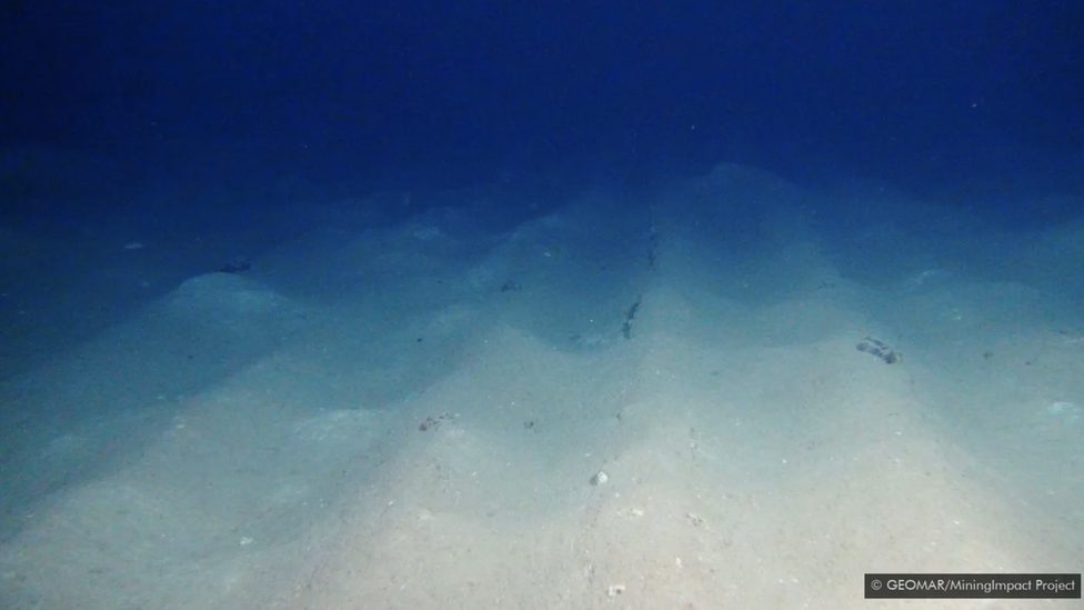 Životna sredina, okean i zagađenje: Skriveni ljudski tragovi duboko na dnu okeana 2 Ovi veštački tragovi na morskom dnu bili su stari 26 godina u trenutku