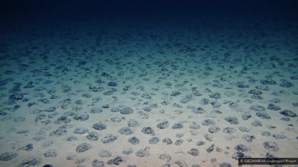 Životna sredina, okean i zagađenje: Skriveni ljudski tragovi duboko na dnu okeana 3 Polimetalni noduli na jugoistiku Tihog okeana, nedaleko od Perua.