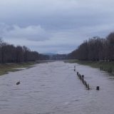 Srbija i poplave: Vanredna situacija u više gradova i opština, očekuje se porast vodostaja na Limu 6