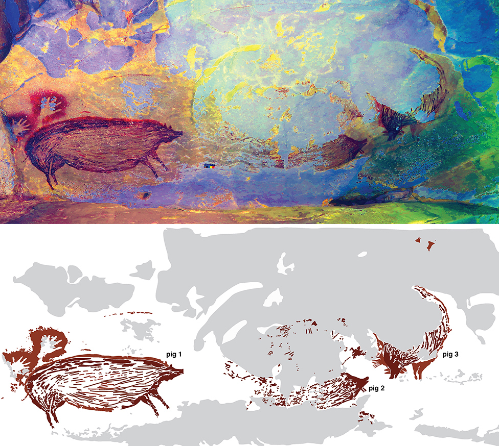 Bradavičaste svinje