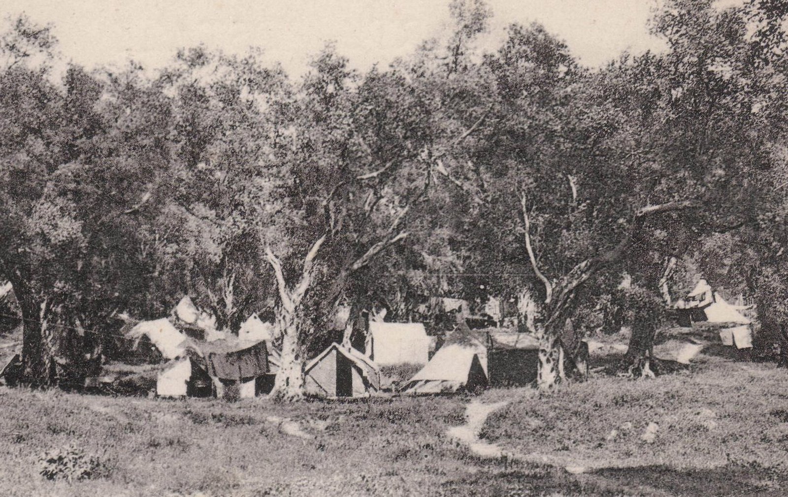 Srpski logor na Krfu 1916. godine