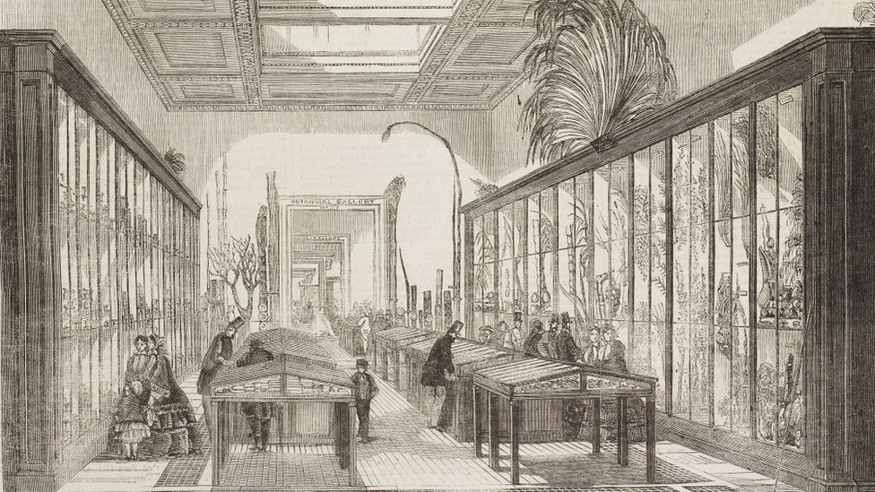 Botanical room of the British Museum in 1858