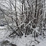 Spasen planinar na Kopaoniku 2