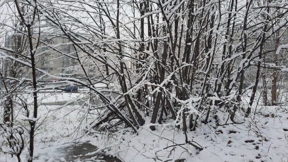 Spasen planinar na Kopaoniku 1