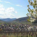 Alzas/Rikvir: Nemačka tradicija na francuski način 4