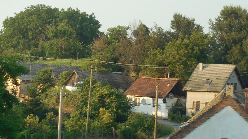 Zmajevac: Gatori u surducima 1