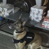 U 2020. zaplenjeno čak 36 puta više rezanog duvana nego 2019. 1