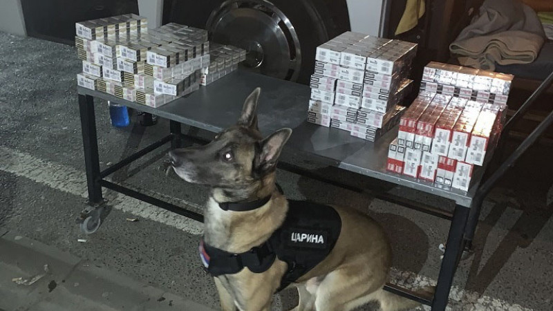 U 2020. zaplenjeno čak 36 puta više rezanog duvana nego 2019. 1