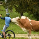 Tragedija selfija u društvu narcisa 3