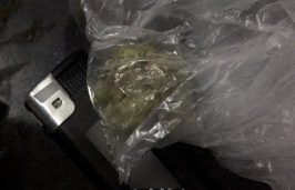 Hapšenje zbog posedovanja opojnih droga, eksploziva i oružja 3