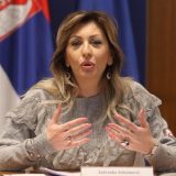 Joksimović: Naći će se rešenje za treće zemlje za putovanja u vreme pandemije 6