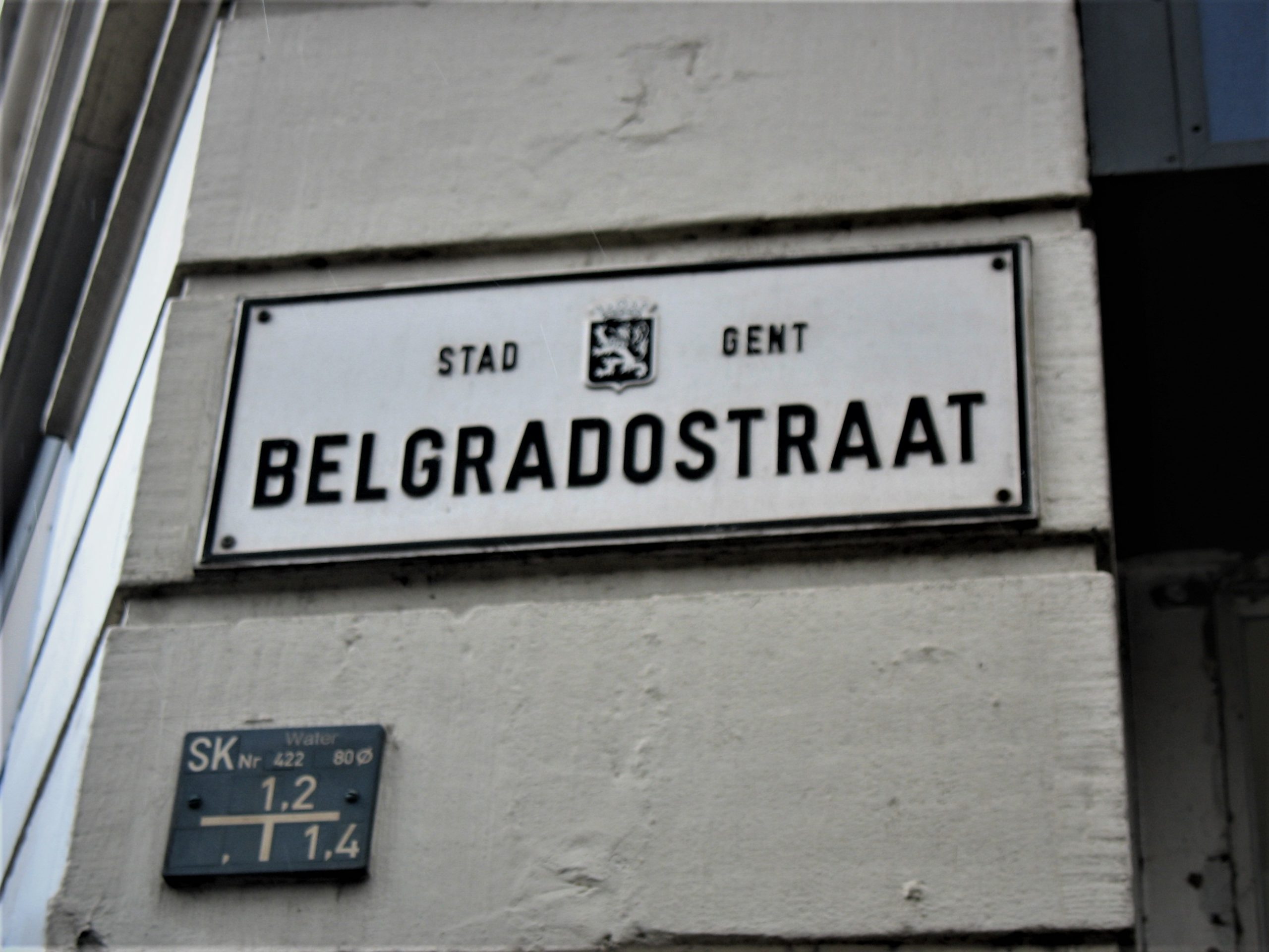 I Srbija i Belgija su me naučile da su porazi samo novi počeci 2 I Srbija i Belgija su me naučile da su porazi samo novi počeci 2