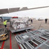 Brnabić: Bahrein donirao 67,5 tona medicinske pomoći zahvaljujući Vućiću 5