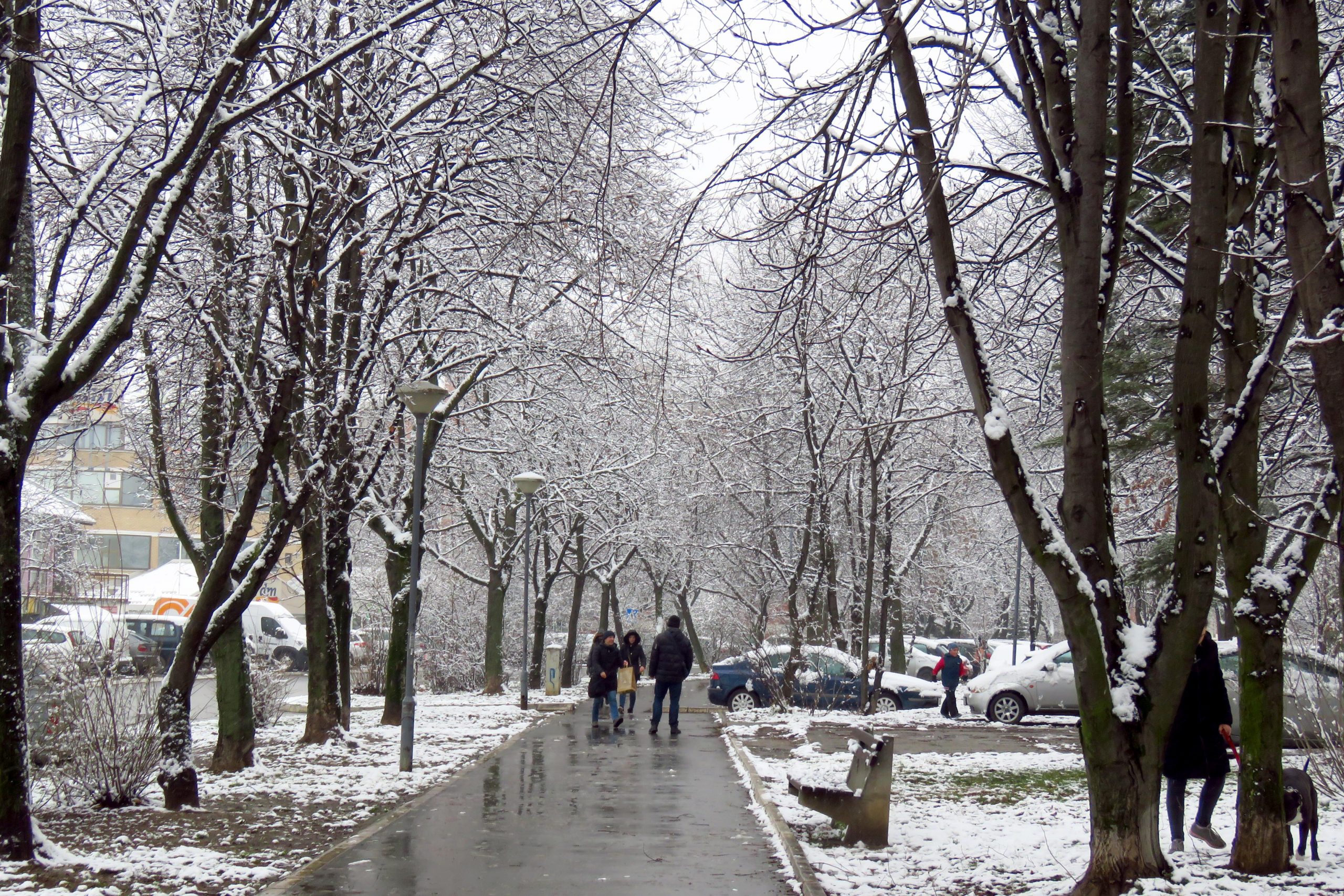 U Srbiji sutra promenljivo i hladno vreme, temperatura do osam stepeni 1
