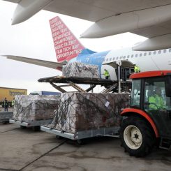 Brnabić: Bahrein donirao 67,5 tona medicinske pomoći zahvaljujući Vućiću 3