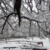 Sutra u Srbiji temperatura do 15 stepeni 7