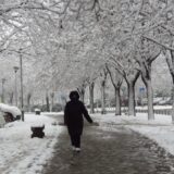 U Srbiji danas oblačno i hladno sa kišom i snegom 2